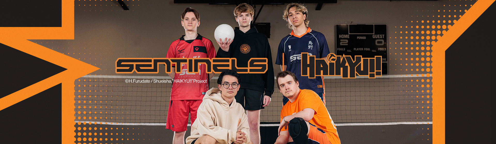Sentinels | Haikyu!! Collection