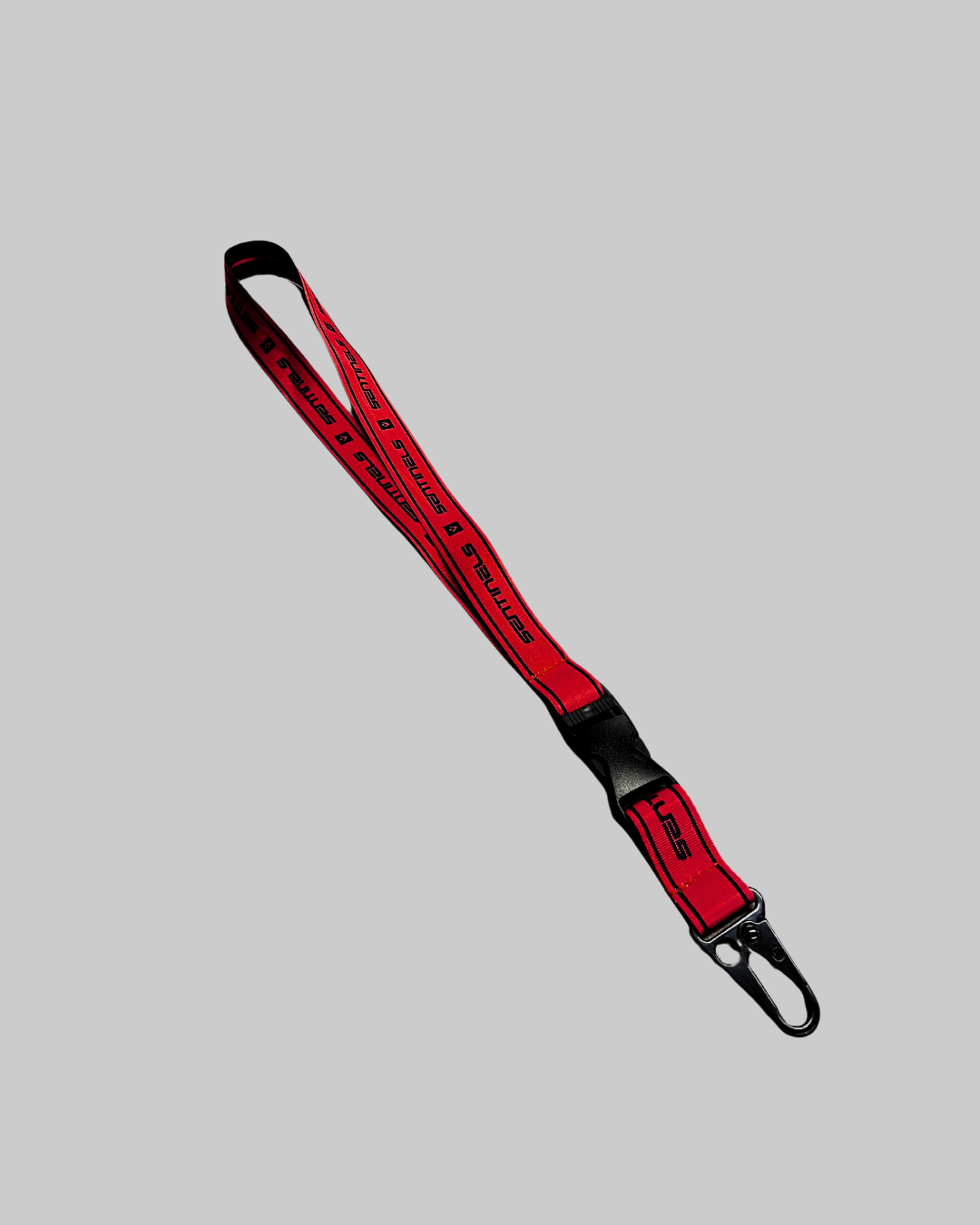 Sentinels Lanyard